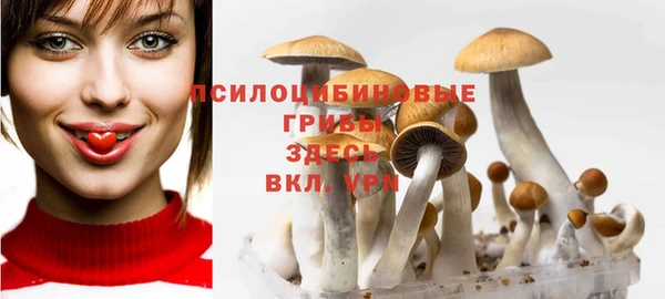 скорость Пестово