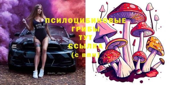 бошки Переславль-Залесский