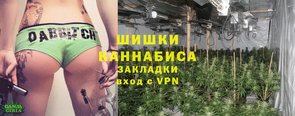 мяу мяу мука Алзамай