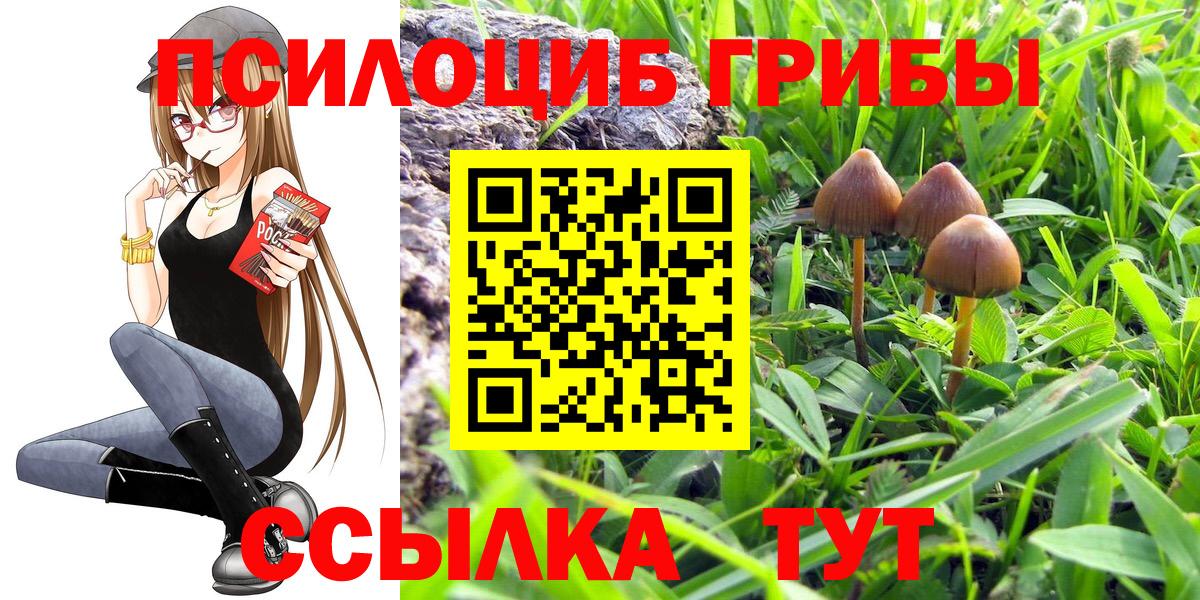 Галлюциногенные грибы Psilocybe  Вход с VPN  Пенза 