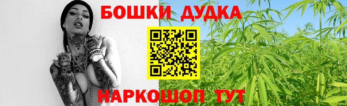 Каннабис план Пенза